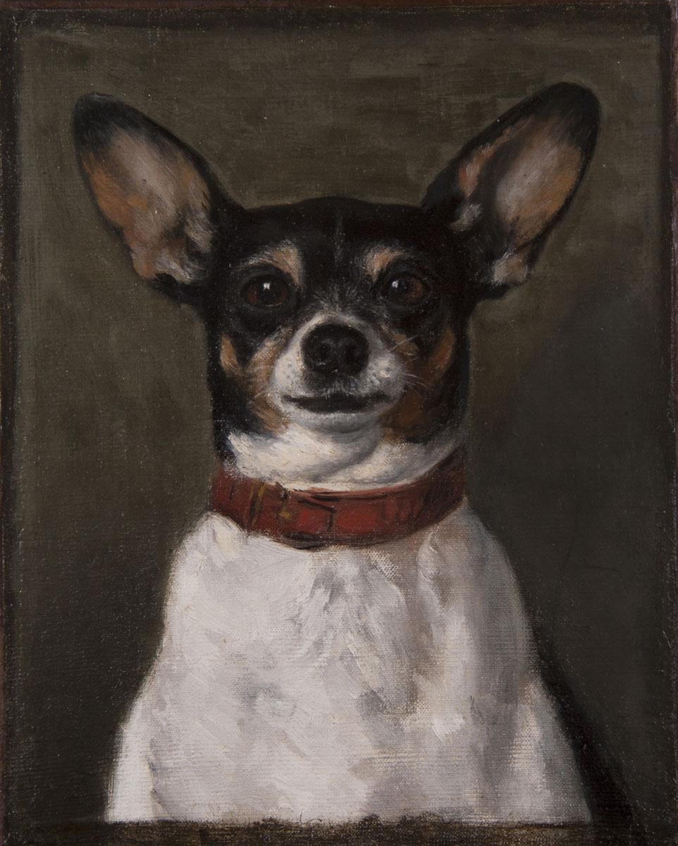 Portrait of a Dog